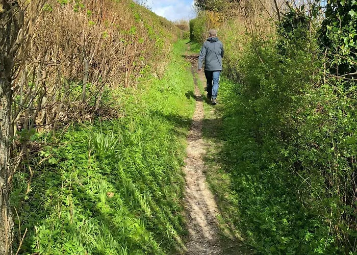 Modern House In Second Row At Rude Dom wakacyjny Odder